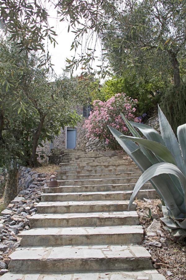 La Terrazza Con L'Ulivo - Guesthouse Con Terrazza E Vista Sul Golfo Dei Poeti ลาสเปเซีย ภายนอก รูปภาพ