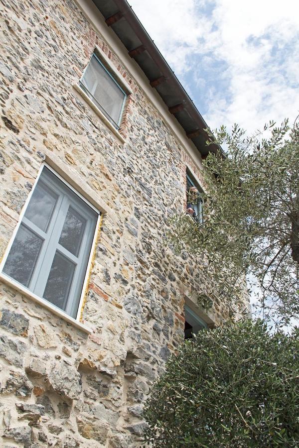La Terrazza Con L'Ulivo - Guesthouse Con Terrazza E Vista Sul Golfo Dei Poeti ลาสเปเซีย ภายนอก รูปภาพ