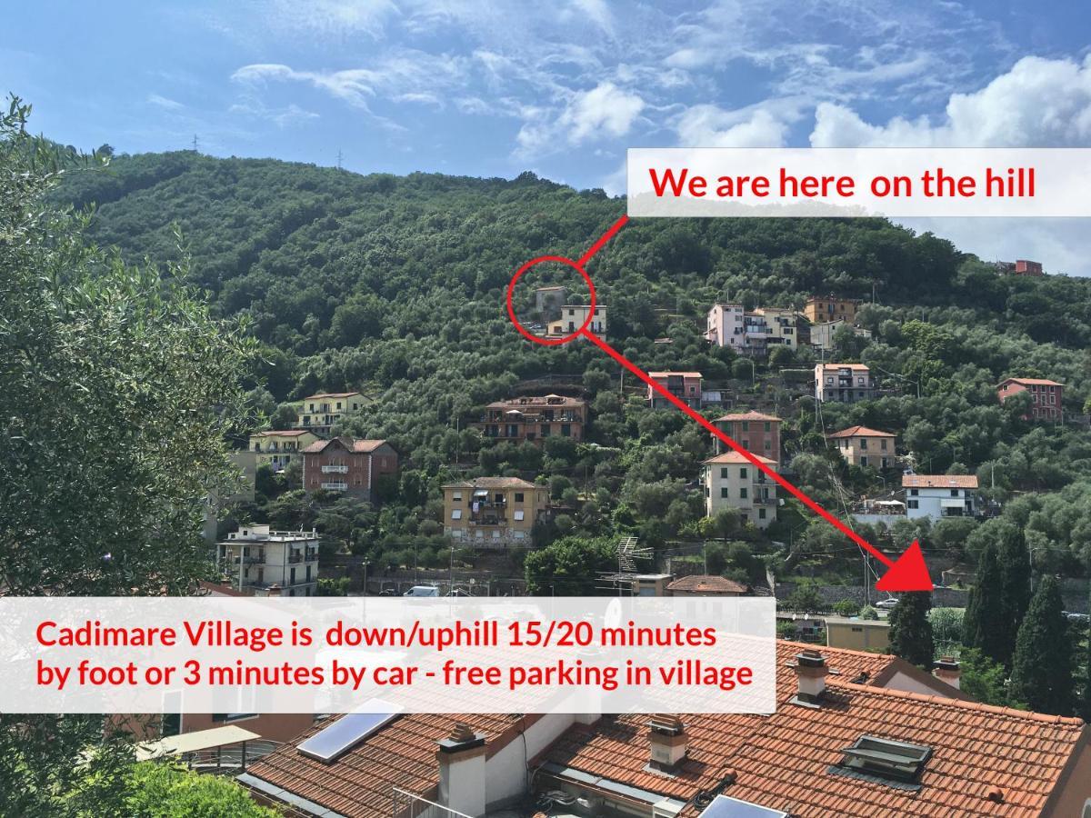 La Terrazza Con L'Ulivo - Guesthouse Con Terrazza E Vista Sul Golfo Dei Poeti ลาสเปเซีย ภายนอก รูปภาพ